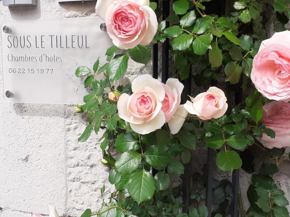 Sous Le Tilleul A ルオム エクステリア 写真